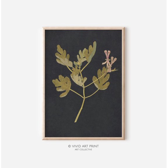 Wall Art Leaf Collage, Vintage Botanical Rustic Home Decor, Vivid Art Print Md-325 Wall Art, Modern Wall Decor, 8x12 UNFRAMED