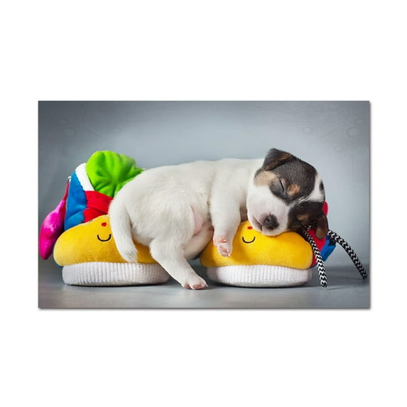 Wall Art Painting on Canvas Sleeping Dog Wall Decor Novel Animal Painting For Livingroom Bedroom Decoration Framed Painting Ready to Hang