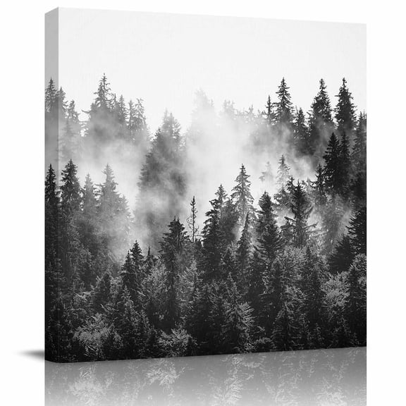 Wall Art Prints, Black Forest Framed Canvas Prints for Bedroom Living Room Bathroom, Black and White Natural Landscape Modern Abstract Art Gallery Wrap Wall Art Poster for Gifts Home Decor 16"x16"