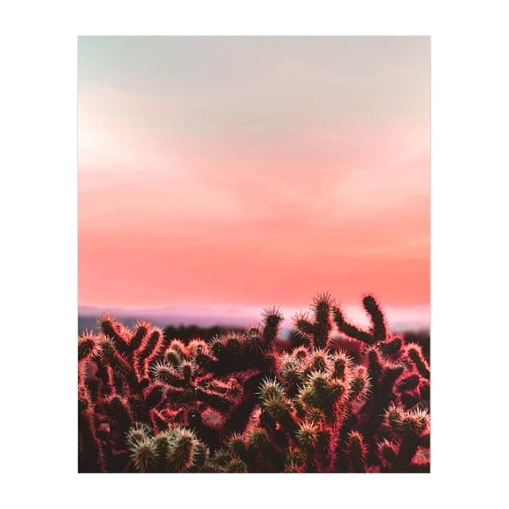 Wall Art Prints - Unframed HD Printed Plants Picture Poster Decorations for Home Decor Living Dining Bedroom Bathroom College Dorm Room by Humble Chic NY, Cactus Sunset, Millenial Pink, Purple, Coral,