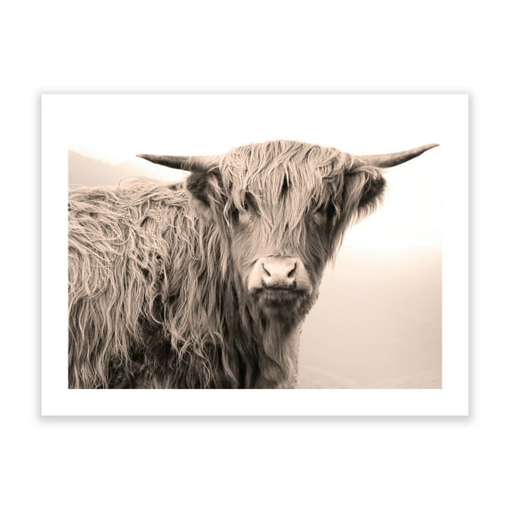 Wall Art Prints - Unframed HD Printed Travel Picture Poster Decorations for Home Decor Living Dining Bedroom Bathroom College Dorm Room by Humble Chic NY, Highland Cow, Black, White, Sepia, Light Brow