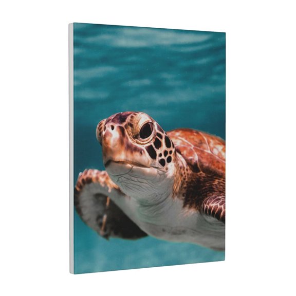 Wall Art Underwater Sea Turtle Swim Picture Canvas Wall Art Print Paintings Modern Artwork For Living Room Wall Decor And Home Décor Framed Ready To Hang-12×16 In