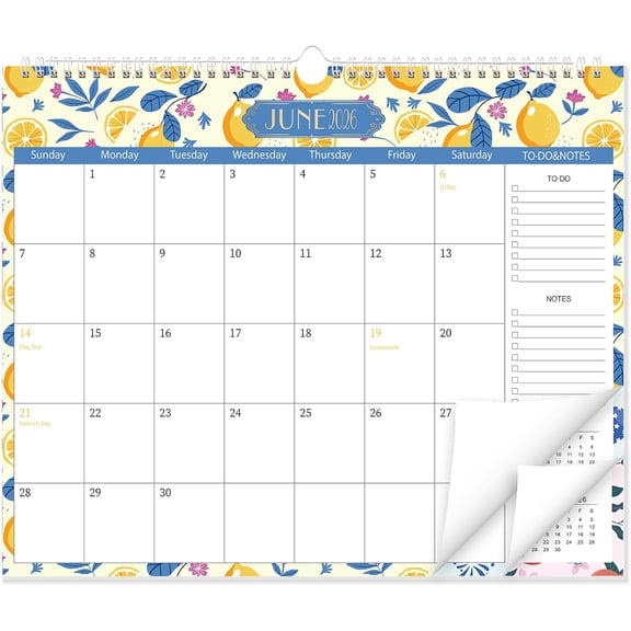 Wall Calendar 2026-2027, School Year from Jun. 2026 to Dec. 2027, 19-Month Paper with To-Do List and Notes for Office Home Teacher Planning, 14 x 11.5