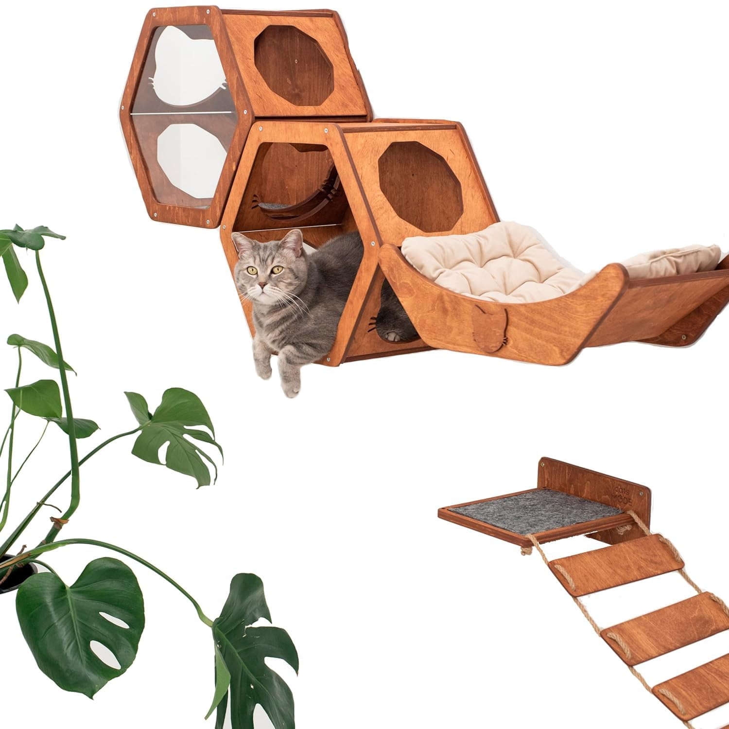 Picture of Cat Shelves Wood Cat Wall Shelves Cat Furniture - Wooden Cat Shelf Wall ...