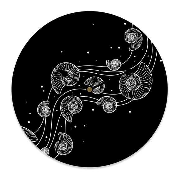 Wall Clock Black Coastal Shell Conch Clocks PVC Silent Non-Ticking Battery Operated Decorative Bubbles Fluid Waves Round Clock for Home Living Room Kitchen Bedroom Office School Wall Decor 10 Inch
