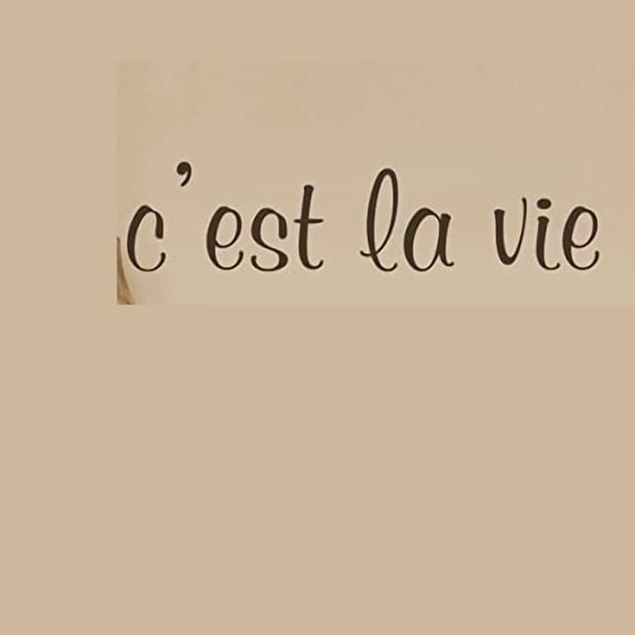 Wall Decal French Quote Life Wall Decal Wall Sticker Words Home Art Decoration Black