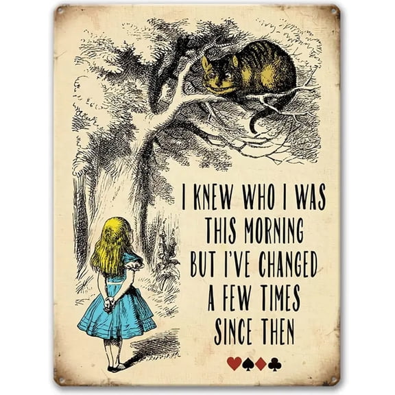 Wall Decor Office Dorm Den Humor Personality Vintage Retro Tin Sign - I Knew Who I was This Morning