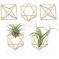 thumbnail image 1 of Wall Decorations Wall Décor 5 Packs Air Plant Holder Mini Metal Tabletop Himmeli Decor Modern Geometric Planter Tillandsia Air Fern Display Stand for Home, Office and Wedding Gift Idea, Gold, 1 of 7