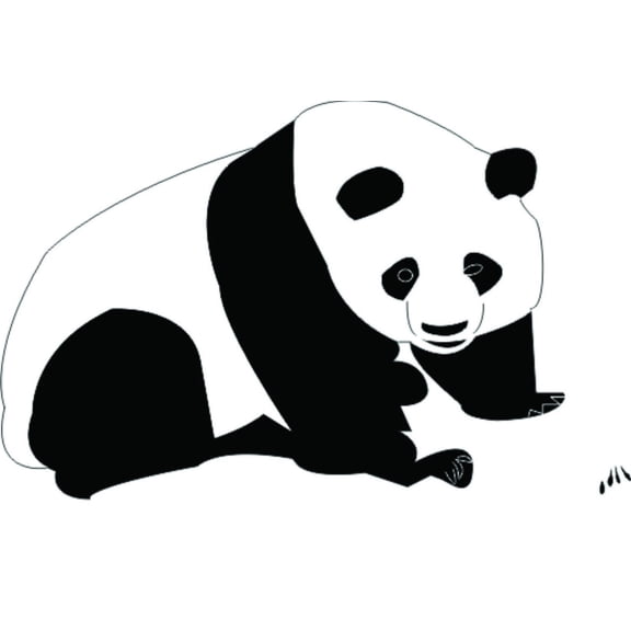 Wall Design Pieces Panda Boys Bed Room 22 Inches X 22 Inches
