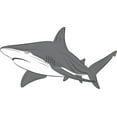 thumbnail image 1 of Wall Design Pieces Shark Fish Ocean Sea Water Swimming Animal Boy Girl Children Kids Kitchen 10x30", 1 of 1