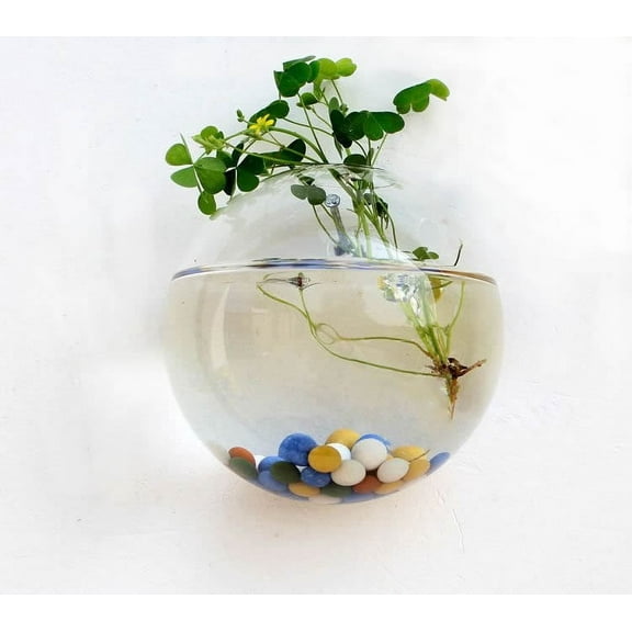 Wall Hanging Glass Vase, Semi Round Hydroponic Planter, Transparent Flower Container For Home Office And Indoor Decoration