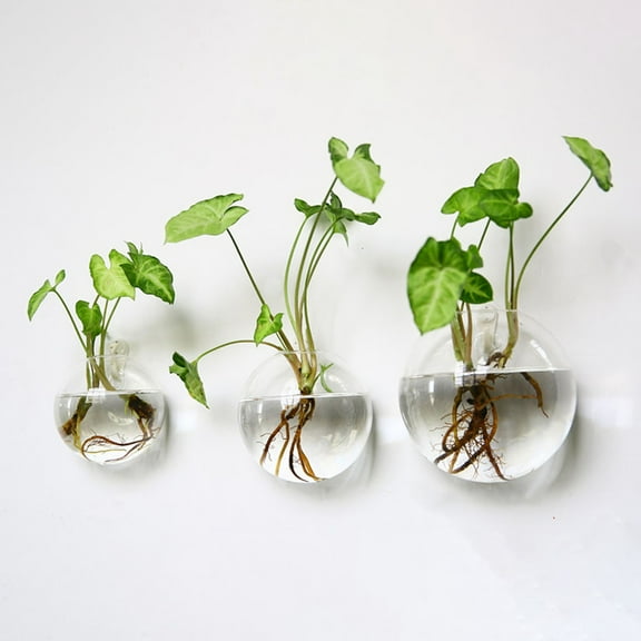 Wall Hanging Glass Vase for Hydroponic Plants, Semi-Round Transparent Borosilicate Vase with Seamless Nail for Home Decor & Flower Propagation