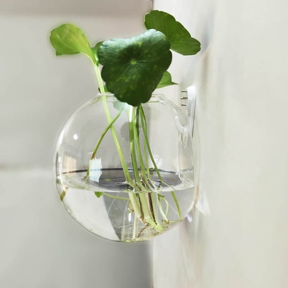 Wall Hanging Glass Vase for Hydroponic Plants, Semi-Round Transparent Borosilicate Vase with Seamless Nail for Home Decor & Flower Propagation