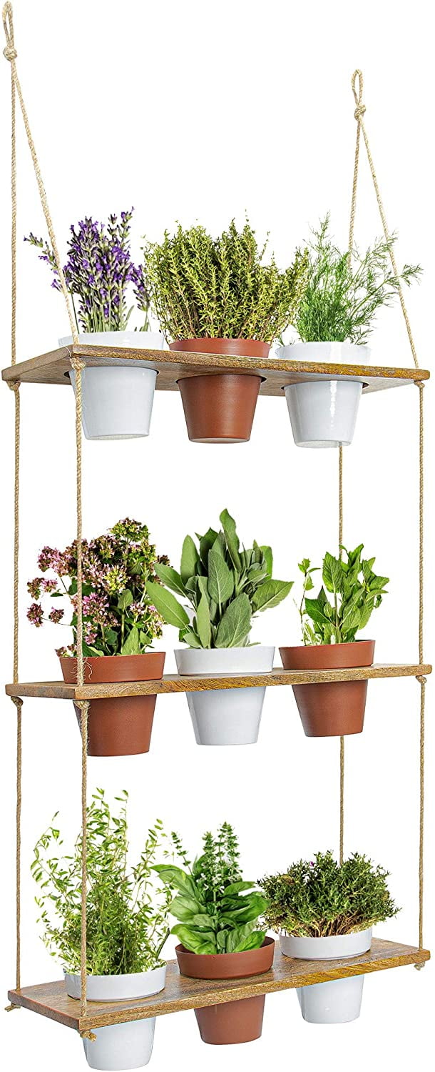 lavender planter ideas Phenomenal Lavender