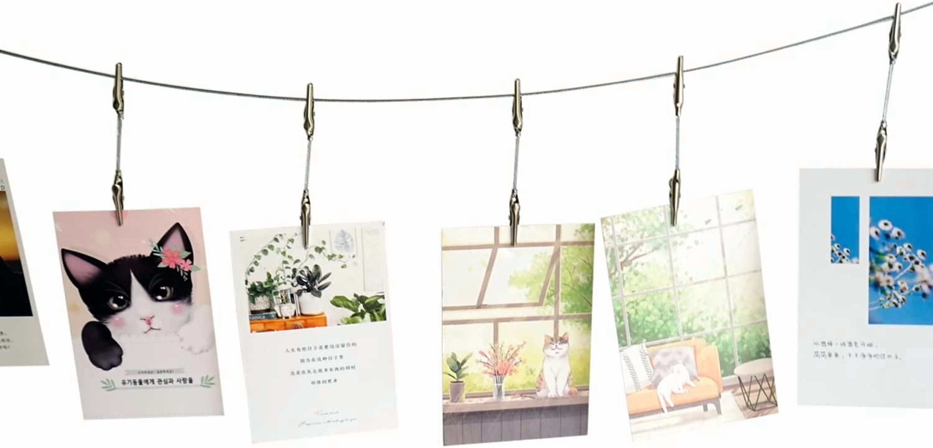 Wall Hanging Photo Display, DIY Picture Frame String with 12 Clips for Photos Notes and Artworks (Adjustable Alligatory Clip)