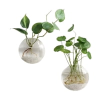 Wall Hanging Planter Propagation Station Glass Flower Vase for Hydroponics Plants, Bathroom, Home Office Living Room Decor Gift, Oblate, 2Pack