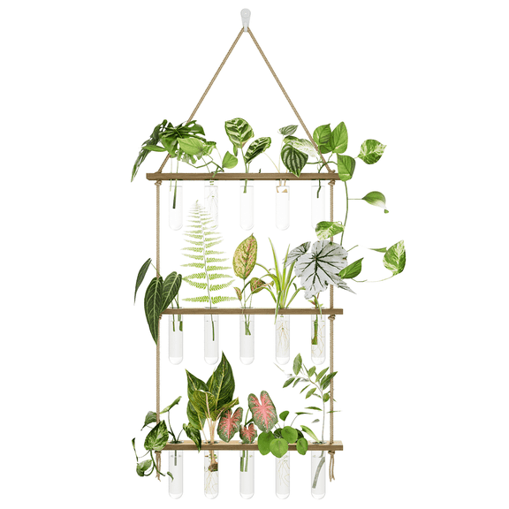 Wall Hanging Propagation Station with Wooden Stand 15 Glass Test Tubes 3 Tiered Planters Wall Terrarium for Home Office Plant Hanger Flower Vases Wall Decor Hydroponic Cuttings