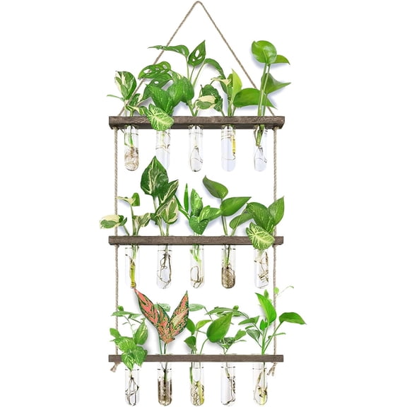 Wall Hanging Propagation Station with Wooden Stand 5 Glass Test Tubes 3 Tiered Planters Wall Terrarium for Home Office Plant Hanger Flower Vases Wall Decor Hydroponic Cuttings