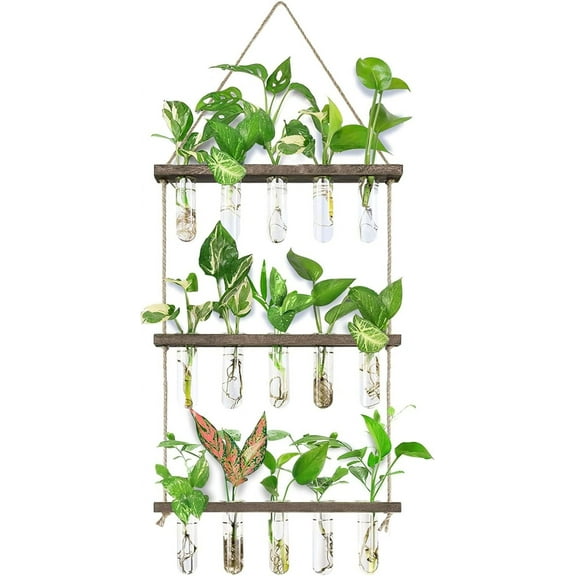 Wall Hanging Propagation Station with Wooden Stand 5 Glass Test Tubes 3 Tiered Planters Wall Terrarium for Home Office Plant Hanger Flower Vases Wall Decor Hydroponic Cuttings