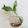 thumbnail image 1 of Wall Hanging Vase Semi-Round Transparent Hydroponic Glass Craft 10-15cm Home Decorative, 1 of 1