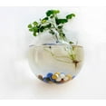 thumbnail image 1 of Wall Hanging Vase Semi-Round Transparent Hydroponic Glass Craft 10-15cm Home Decorative, 1 of 1
