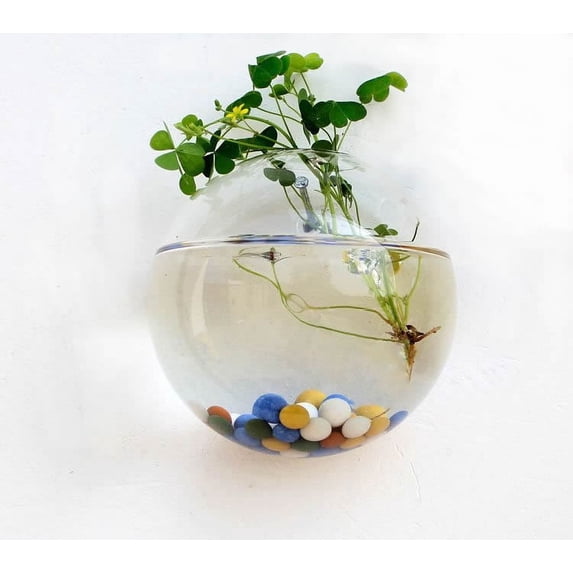 Wall Hanging Vase Semi-Round Transparent Hydroponic Glass Craft 10-15cm Home Decorative