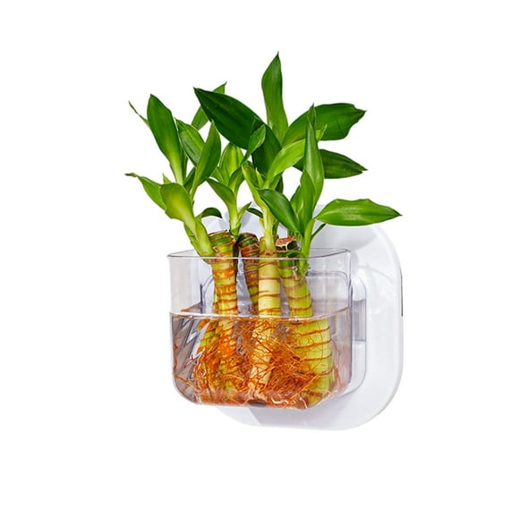 Wall Hydroponic Plant Hanging Hydroponic Plant Pot Living Room Decoration for Home Office Decoration
