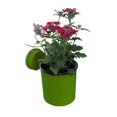 thumbnail image 1 of Wall Mates Push 'N Stay Round Suction Flower and Plant Holder, 1 of 5