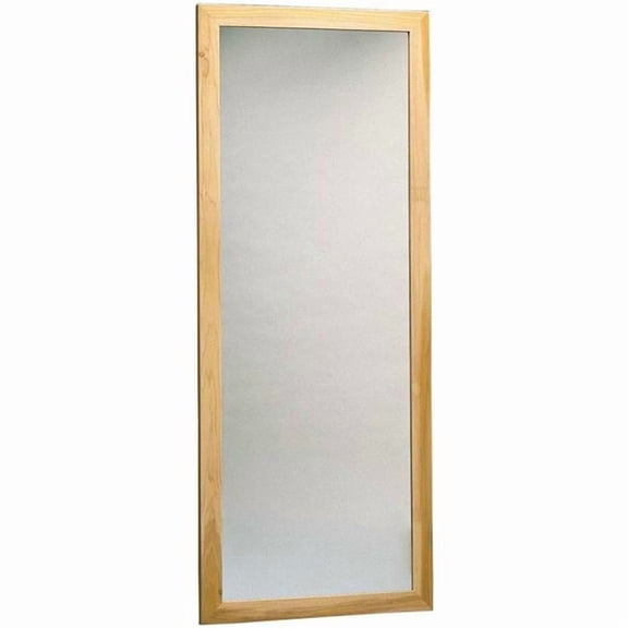 Wall Mount, Vertical Plate Glass Mirror - 22 x 60 in.