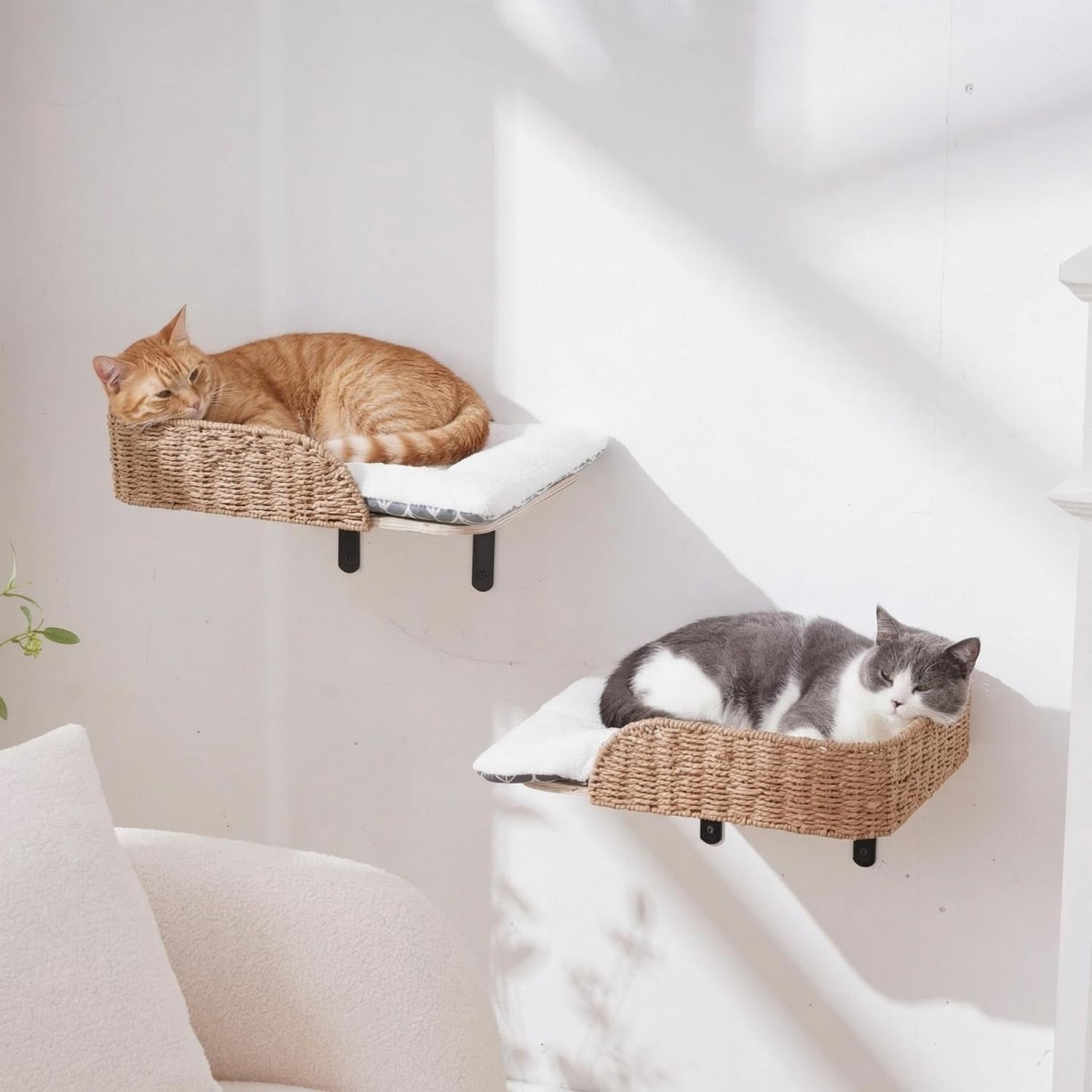 Wall Mounted Cat Bed Perch 12.6“ x 16.5” 2-Pack Wooden Shelves with Washable Pillow Cushions