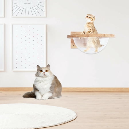 Wall-Mounted Cat Shelf Sleep Bed Rubber Wood Cat Space Capsule Climbing Frame