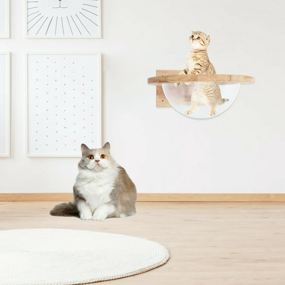 Wall-Mounted Cat Shelf Sleep Bed Rubber Wood Cat Space Capsule Climbing Frame