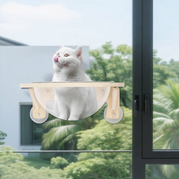 Wall-Mounted Clear Cat Capsule Bed, Solid Wood & Plastic, Space-Saving Perch