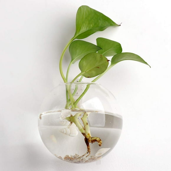 Wall-Mounted Glass Plant Pots Wall Hanging Plant Container Vase Air Plant Terrariums Planters Home Decoration