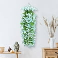 thumbnail image 1 of Wall Mounted Hanging Basket with 85cm Sturdy Rod, 12 Flower Vines Decorative Wall Decor for Home Garden Patio Balcony, Lightweight Easy Install Indoor Outdoor Plant Display Holder, 1 of 6