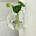 thumbnail image 1 of Wall Mounted Hanging Vase - Semi-Round Transparent Hydroponic Glass Planter for Home Decor, Space-Saving Wall Vase for Living Room Bedroom Bathroom, 1 of 9