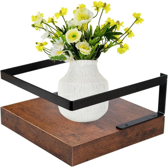 Wall Mounted Plant Holder, Wooden Floating Shelf with Invisible Bracket Wall Mount Wood Rack Small Decorative Display Shelves with Gaurdrail for Bedroom Living Room Bathroom (Brown, 1 Pack)