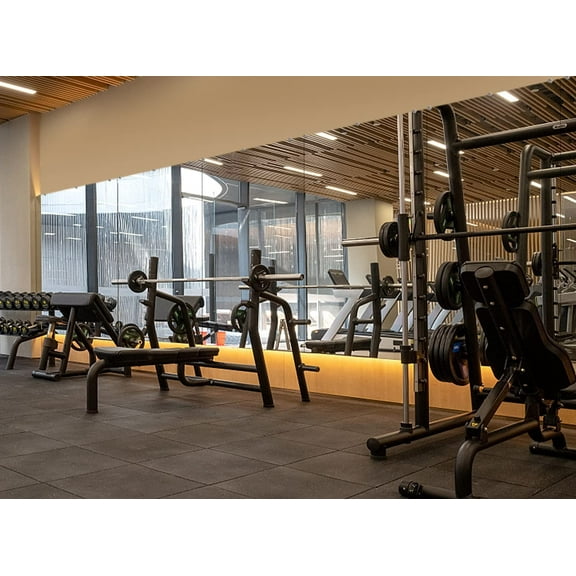 Wall-Mounted Polished Mirror for Home Gym and Yoga Aactivity-1 Piece (48inchX32inch), wood (DYL5894)