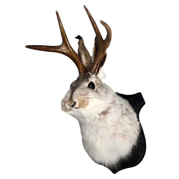 Wall-Mounted Rabbit Head Ornaments, Lifelike Animal Ornaments, Artificial Animal-Shaped Ornaments,Easter Decorations, Office Wall Decorations, Imitation Deer Antler Ornaments.