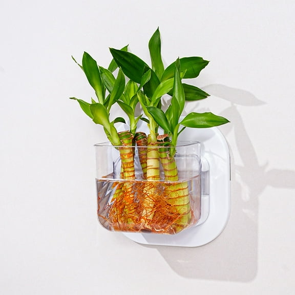 Wall Mounted Storage Box - Plastic Wall Organizer, Transparent Wall Storage Bin with Hydroponic Fish Tank, Office/Living Room Display (5.9x5.9x3.9in, 0.44lb)