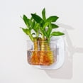 thumbnail image 1 of Wall Mounted Storage Box, Transparent Hydroponic Planter and Small Aquarium Tank, Multi-Functional Organizer for Office Living Room Wall Decor, 1 of 6