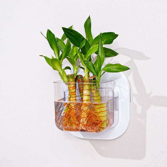 Wall Mounted Storage Box, Transparent Hydroponic Planter and Small Aquarium Tank, Multi-Functional Organizer for Office Living Room Wall Decor