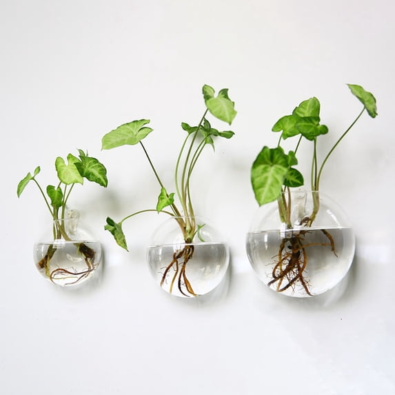 Wall Mounted Transparent Glass Hanging Vase for Hydroponic Flowers Home Decor