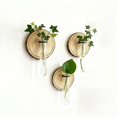 thumbnail image 1 of Wall Mounted Vase, Modern Hydroponic Planter with Test Tube, Vertical Wood and Iron Wall Decor for Plants, Bathroom Office Living Room Home Decoration Gift, 1 of 6