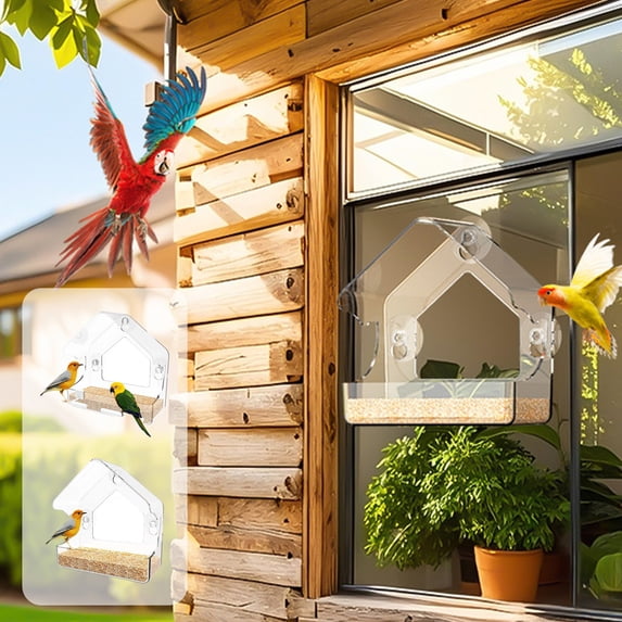 Wall-Mounted Window Bird Feeder, Cage-Style Bird Feeder that Attaches to Windows, Easter Decor for Close-Up Bird Watching, Easy to Fill and Clean, Weather-Resistant Bird Feeder, 6*6*2in, A