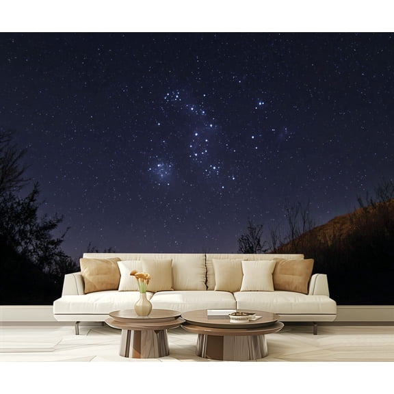 Wall Mural Peel and Stick Constellation Orion real night sky Self-Adhesive Wallpaper Removable Wall Decal Wall Sticker Home Decor for Living Room Bedroom 100"x144"