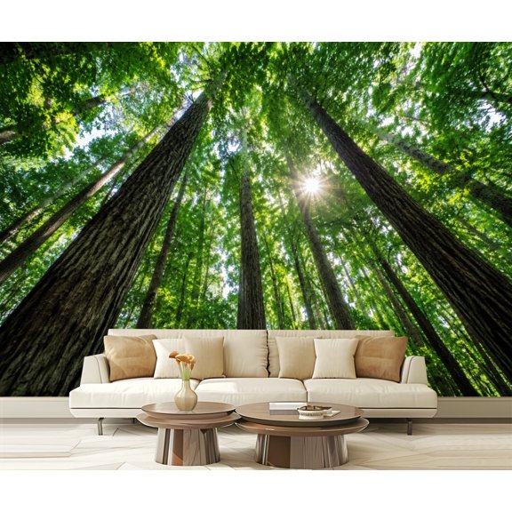 Wall Mural Peel and Stick Majestic Forest Tall Trees Sunlight Filtering Leaves Self-Adhesive Wallpaper Removable Wall Decal Wall Sticker Home Decor for Living Room Bedroom 100"x144"