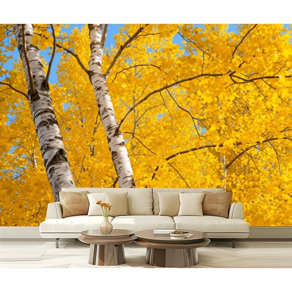 Wall Mural Peel and Stick White birches trees autumn Self-Adhesive Wallpaper Removable Wall Decal Wall Sticker Home Decor for Living Room Bedroom 100"x144"