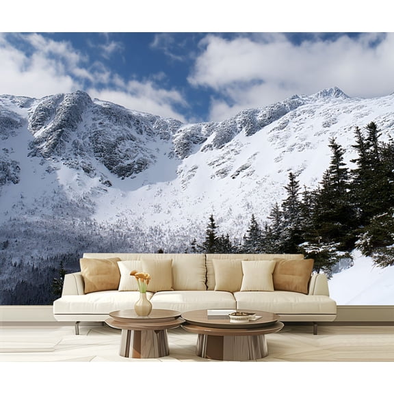 Wall Mural Peel and Stick ravine white mountain national forest skiings Self-Adhesive Wallpaper Removable Wall Decal Wall Sticker Home Decor for Living Room Bedroom 100"x144"