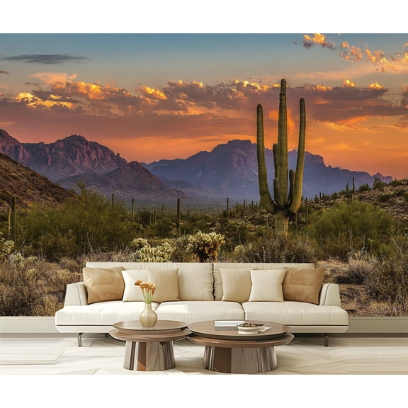 Wall Mural Peel and Stick Sonoran Sunset Self-Adhesive Wallpaper Removable Wall Decal Wall Sticker Home Decor for Living Room Bedroom 100"x144"